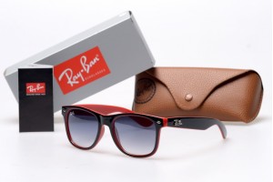 Ray Ban Wayfarer 10709